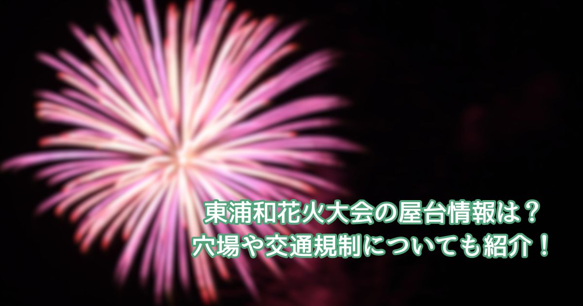 東浦和花火大会の屋台情報は？穴場や交通規制についても紹介！